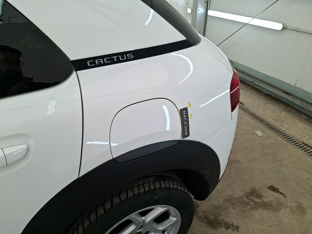 CITROEN C4 CACTUS SOCIETE BLUEHDI 100 S&S BVM6 FEEL NAV 2019