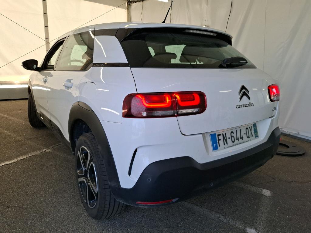 CITROEN C4 CACTUS BlueHDi 100 S&S BVM6 Feel Business 2020