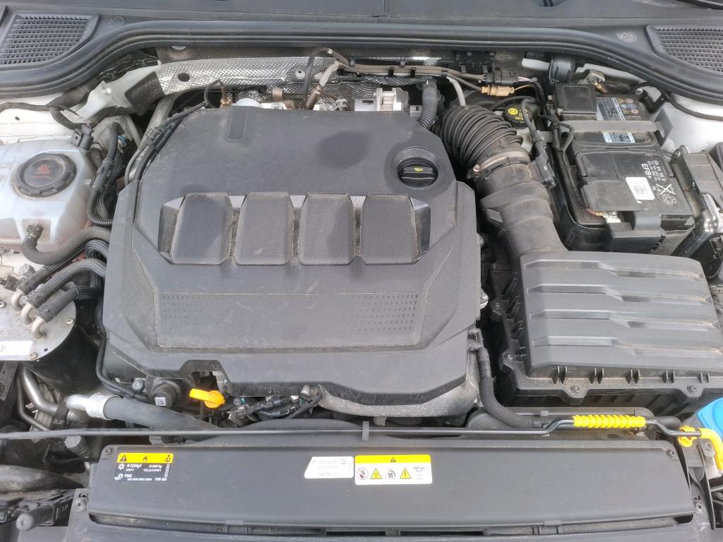 VOLKSWAGEN GOLF 2.0 TDI SCR 116 DSG7 Life Plus 2023
