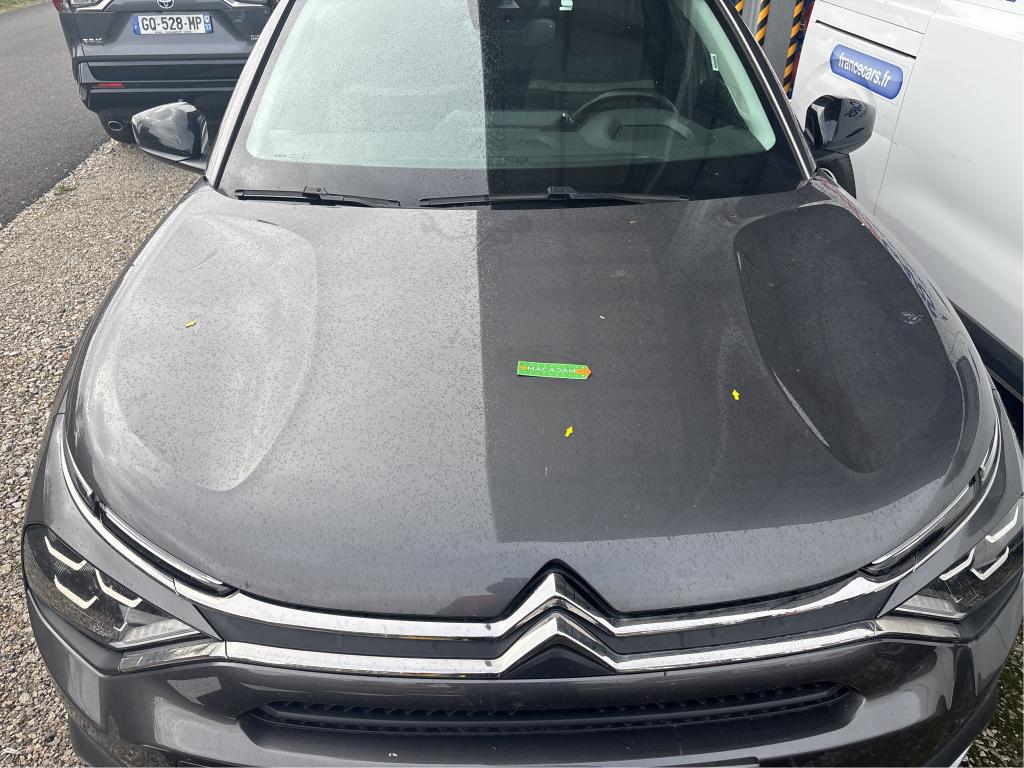 CITROEN C4 PureTech 130 EAT8 Max 2024