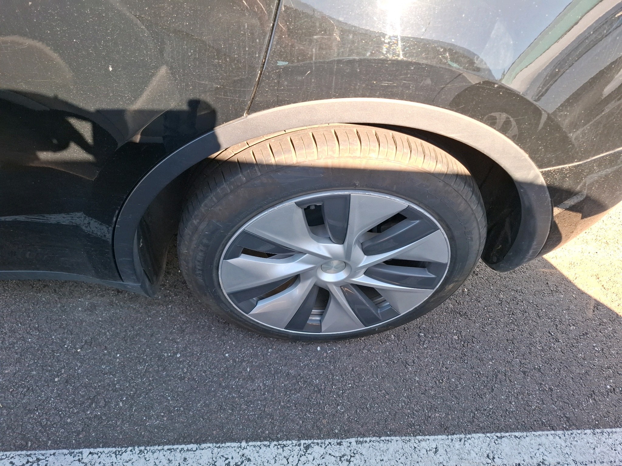 TESLA MODEL Y Standard RWD 2023