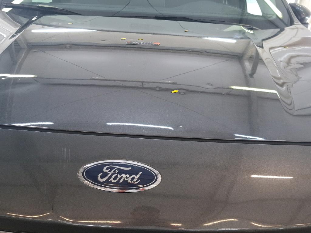 FORD KUGA 1.5 EcoBlue 120 Powershift Titanium 2022