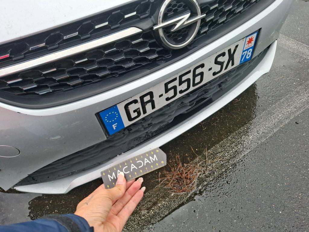 OPEL CORSA 1.2 75 ch BVM5 Elegance Business 2023