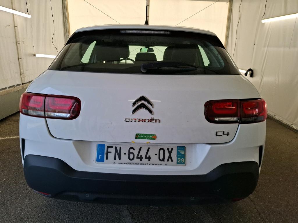 CITROEN C4 CACTUS BlueHDi 100 S&S BVM6 Feel Business 2020