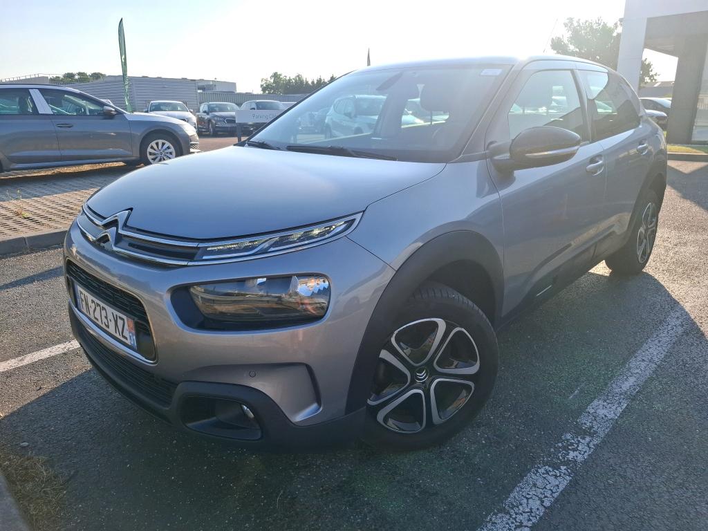 C4 CACTUS