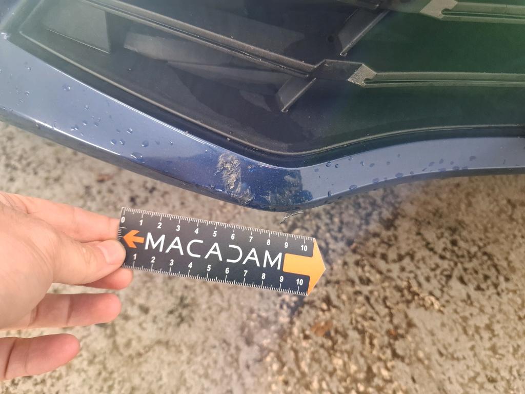 RENAULT MÉGANE MEGANE IV ESTATE Blue dCi 115 EDC Business 2021