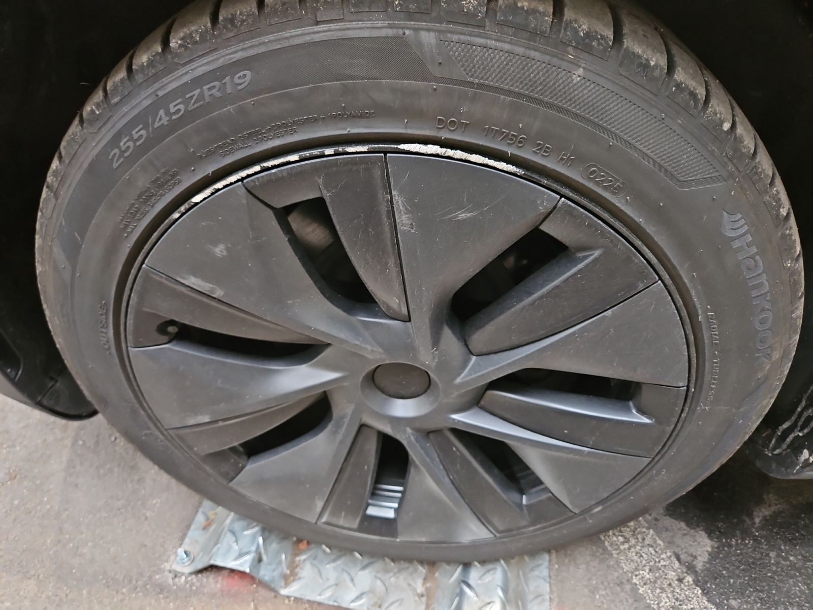 TESLA MODEL Y Standard RWD 2024