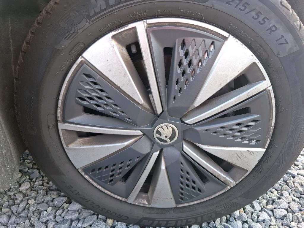 SKODA KAROQ 2.0 TDI 116 ch SCR DSG7 Business 2024